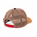 New York City Pet - Hello Hossy