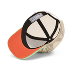 Adventure Pet - Hello Hossy