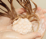 Shampoo Bar Flower Power