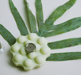 Magnetische Wondr bar houder