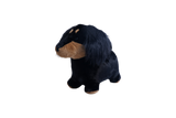 Soft Bouncy Teckel