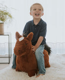 Soft Bouncy Horse