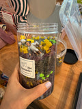 Speelmix In de ruimte pot