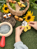 Butterfly Sensory Play Stones - Yellow Door