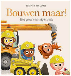 Bouwen maar! - Federico Van Lunter