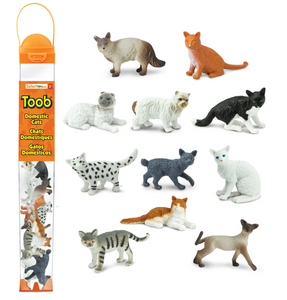 Toob Huiskatten