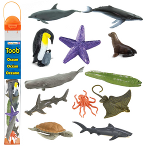 Toob Oceaan