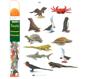 Toob Galapagos