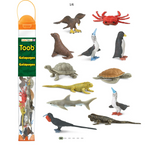 Toob Galapagos