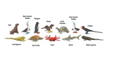 Toob Galapagos