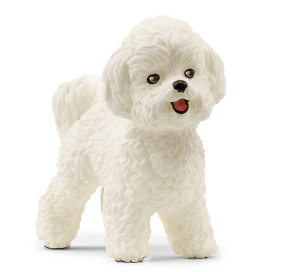 Bichon Frise - Schleich