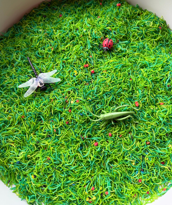 Insecten Sensory pot