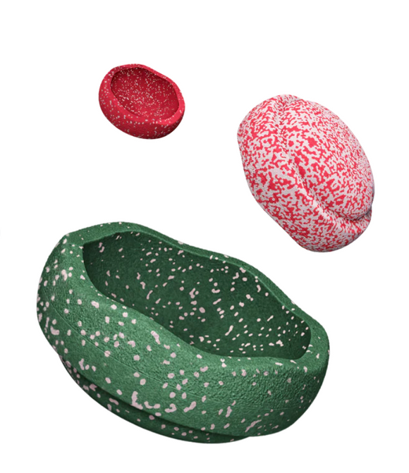 Triology Blush Special - Stapelstein
