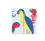 (Raam)krijt Bird 6 stuks - Kitpas