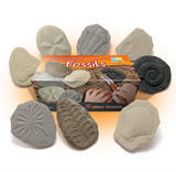 Ontdekstenen Fossielen - Yellow Door