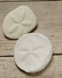 Ontdekstenen Fossielen - Yellow Door