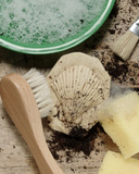 Ontdekstenen Fossielen - Yellow Door