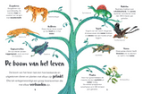 Mijn eerste bijzondere boek van dinosaurussen en andere prehistorische dieren