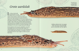 Het dikke boek van alle bijzondere insecten en andere beestjes