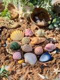 Seashells Sensory Play Stones - Yellow Door
