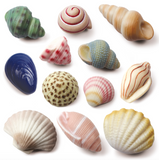 Seashells Sensory Play Stones - Yellow Door