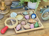 Seashells Sensory Play Stones - Yellow Door