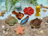 Ocean Life Sensory Play Stones - Yellow Door