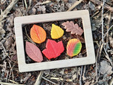 Leaves Sensory Play Stones - Yellow Door