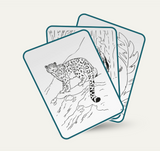 Kidydraw Pad - 3 versies