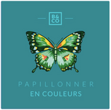 Knikkerdoos Papillons - Billes & co