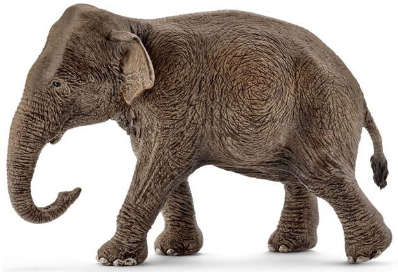 Aziatische olifant vrouwtje - Schleich