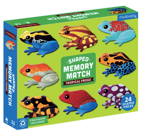 Tropical frog memory - Mudpuppy