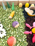 Insecten sensory box