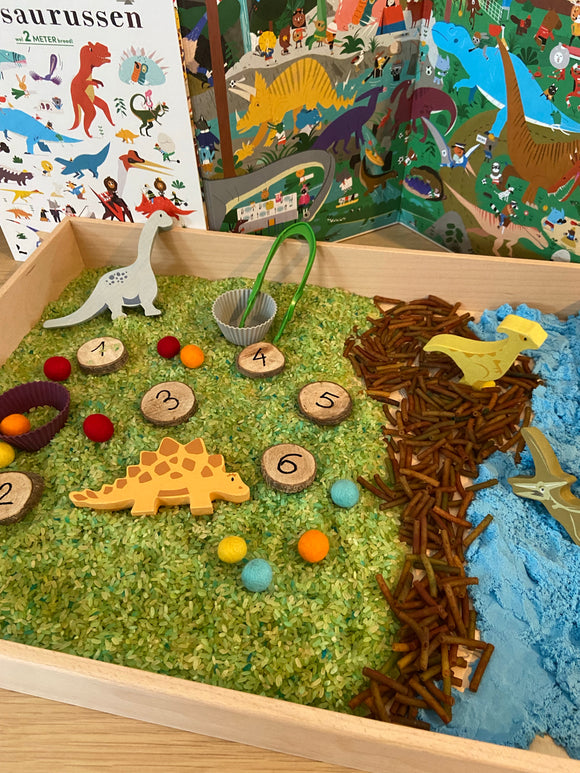 Dino sensory box