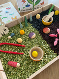 Insecten sensory box
