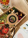 Insecten sensory box